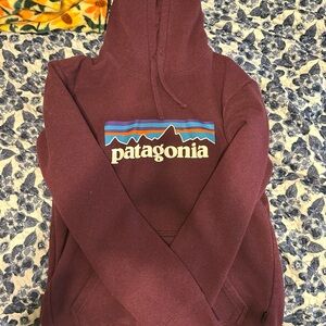 Patagonia Burgundy Hoodie